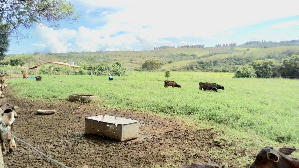 Fazenda à Venda – REF: K-002