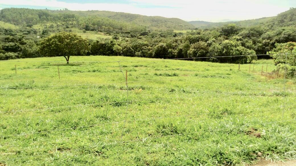 Fazenda à Venda – REF: K-002