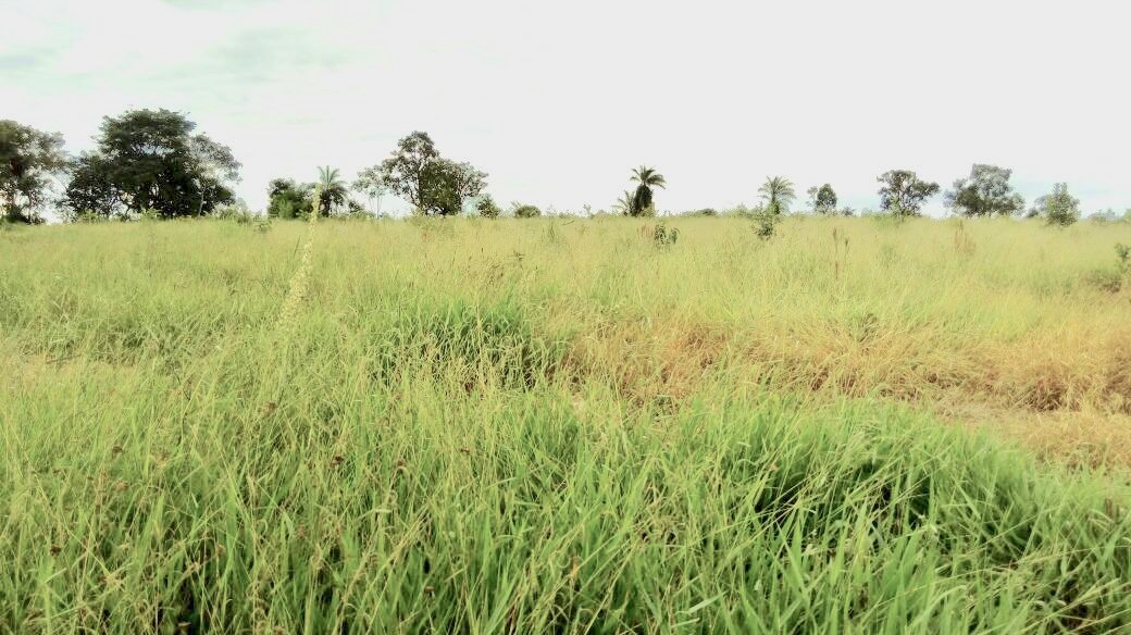 Fazenda à Venda – REF: K-003