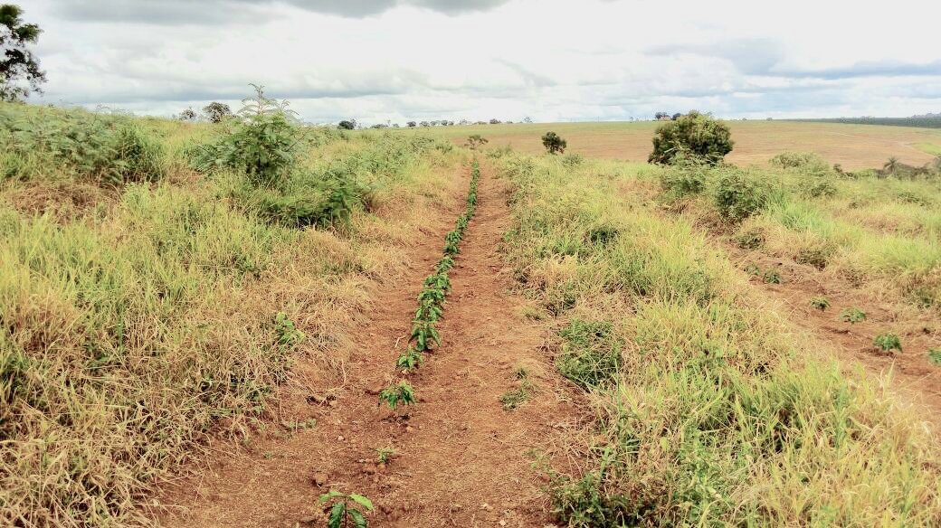 Fazenda à Venda – REF: K-003